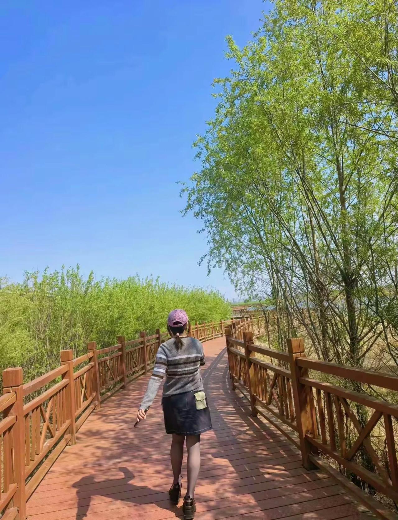随遇而安。淡然度流年，静心赏风光，愿余生安稳，处处皆是晴朗享受自由 享受阳光享受
