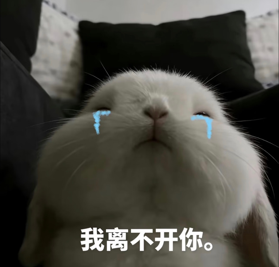 一直在性感… 