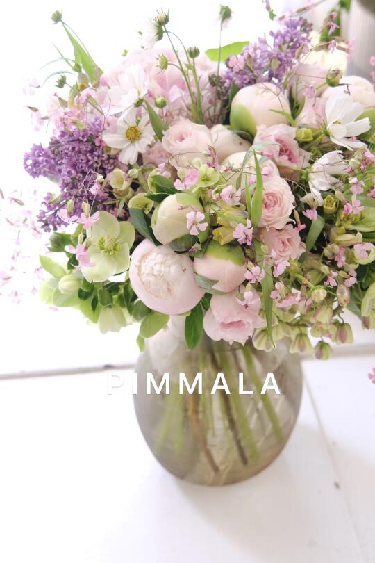 PIMMALA｜抓住这颗“人间水蜜桃”