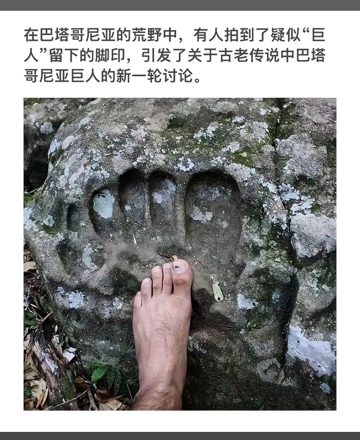 巴塔哥尼亚的神秘脚印，引发关于巨人传说新一轮讨论！👣🌳