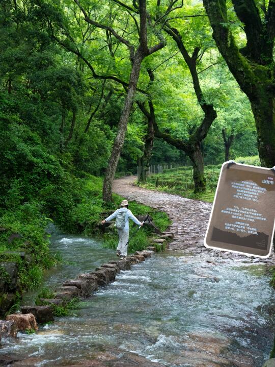 雨天的九溪就是一个巨大的能量场❗️野心友好