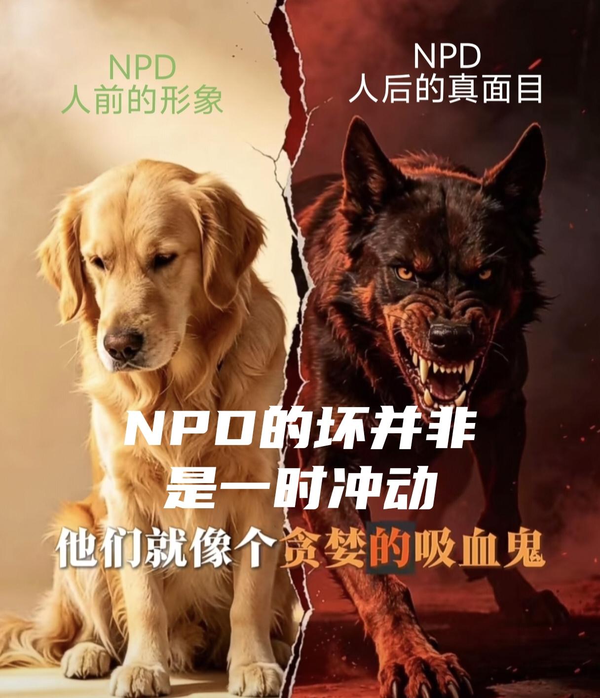 自恋型人格障碍的人无药可救！当你不幸碰到这种空心人，小人，恶魔。只有不入他（她）