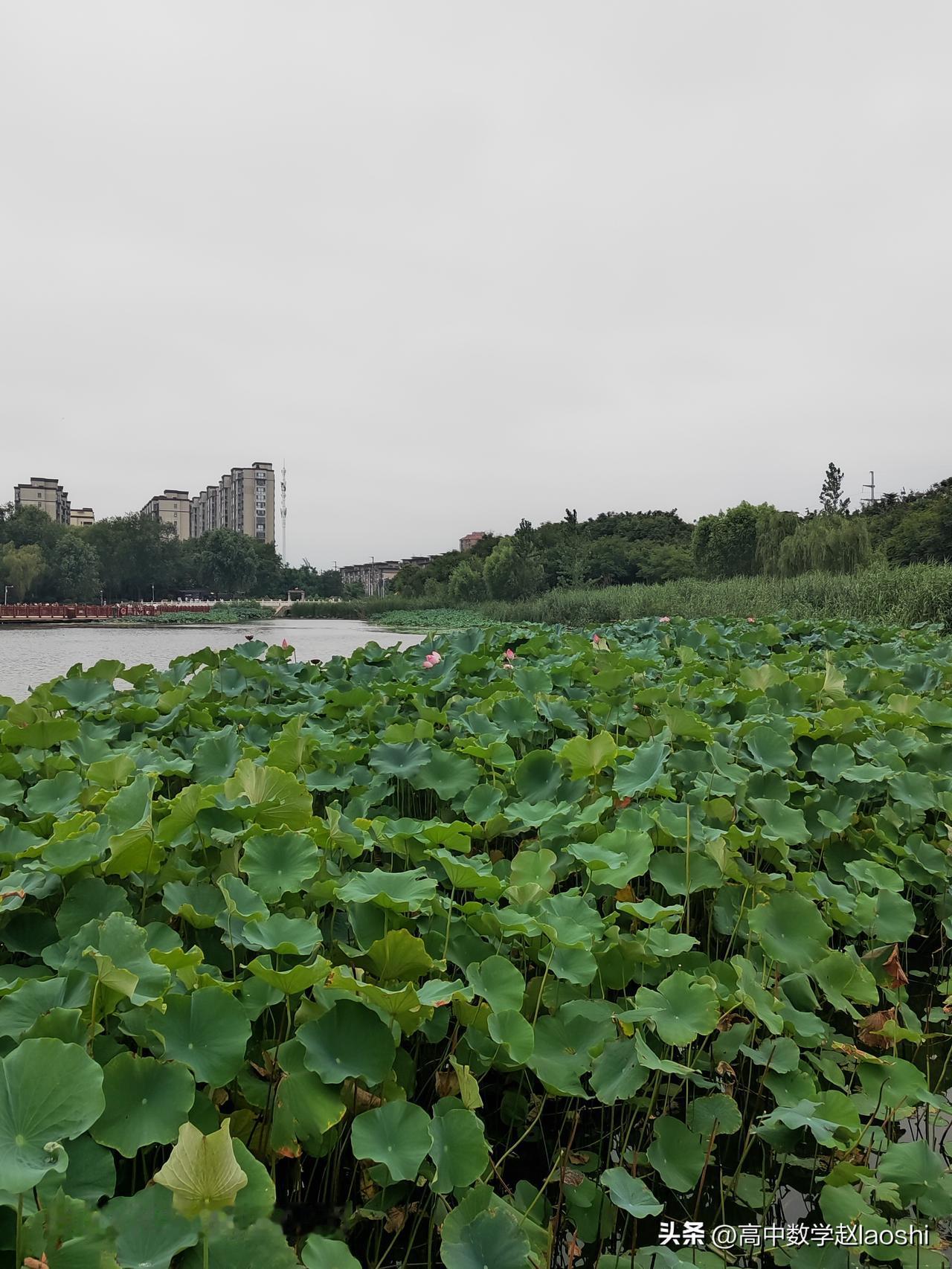 为什么总有人反对老师暑假休息
       反对老师暑假休息的主要是两种心理！