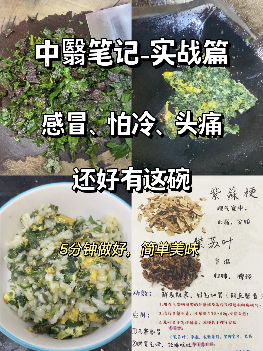 不愧是老祖宗的智慧‼️排寒去风真的顶！