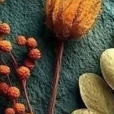 早安☀️，美好的一天开始❤️任何事情都是「小事」积累成「大事」。每一瞬间考虑自己