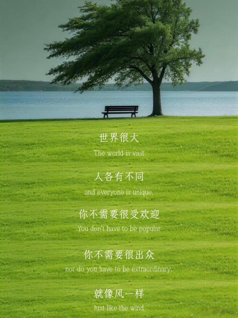 你不必成为一朵玫瑰，做自己就好。 