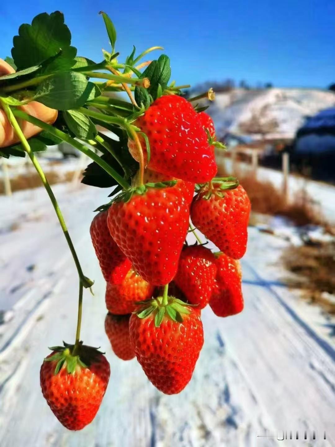 丹东市气象台2026年4月10日11时发布未来72小时天气预报：今天午后到明天白