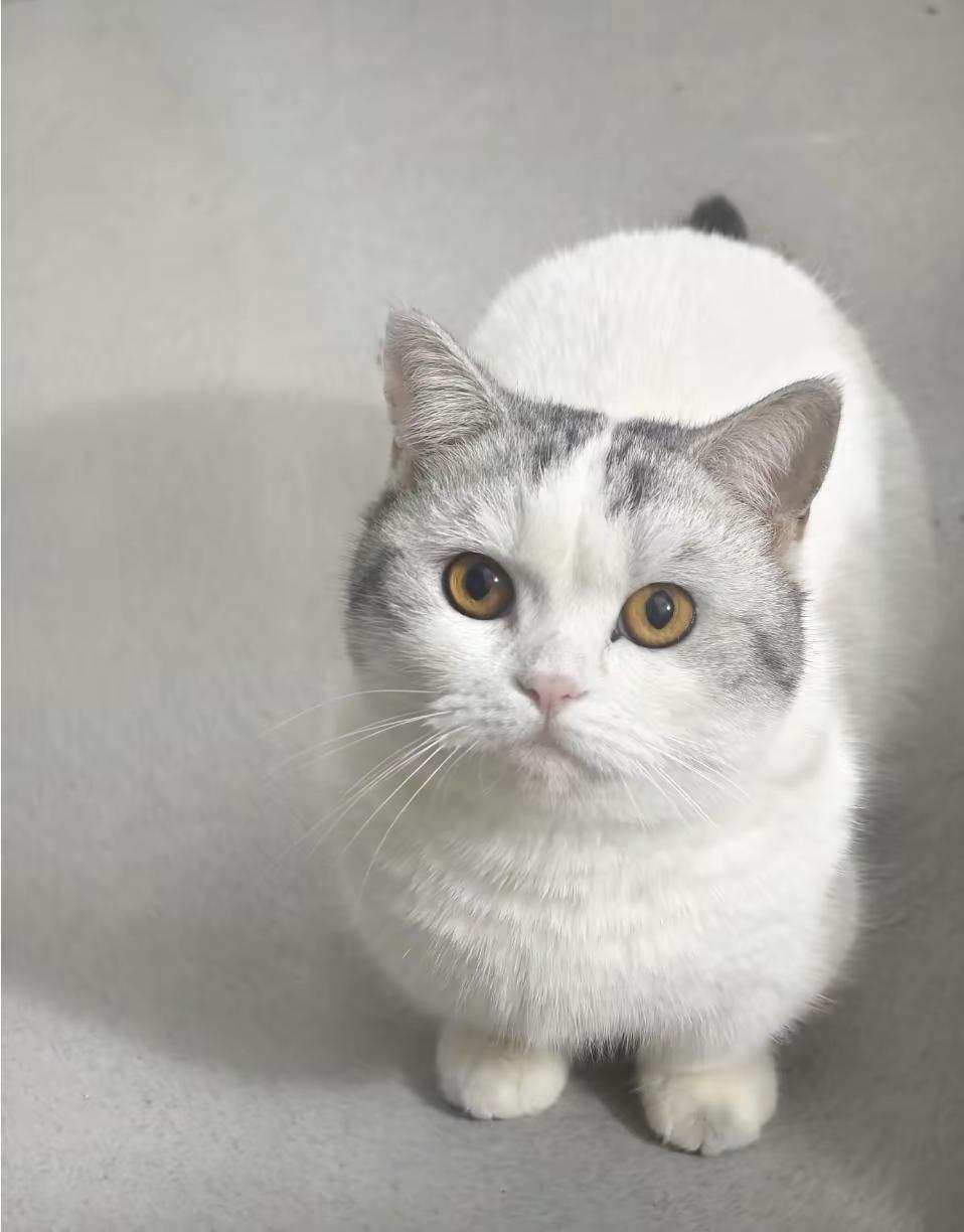 不会呀！爱了就爱了，分了就分了呗玩法合伙人计划