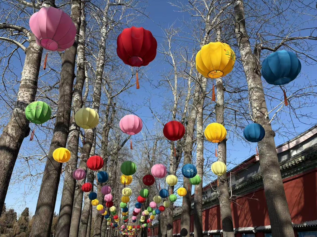 晒图笔记大赛北京北海公园，很漂亮，已经有过年的迹象了