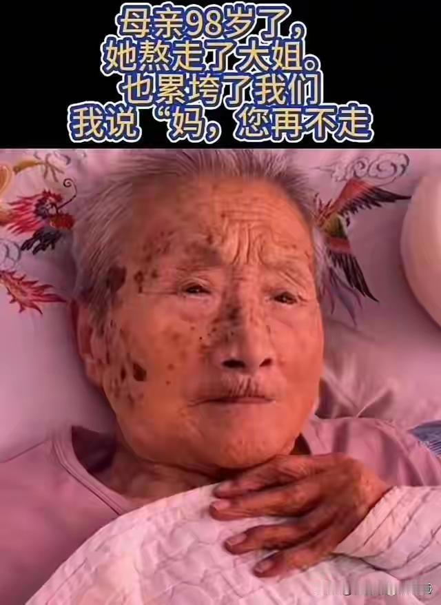 网络上曾经流行过这样一句话：“家有一老，如有一宝”。这句话曾经让无数人为之动容，