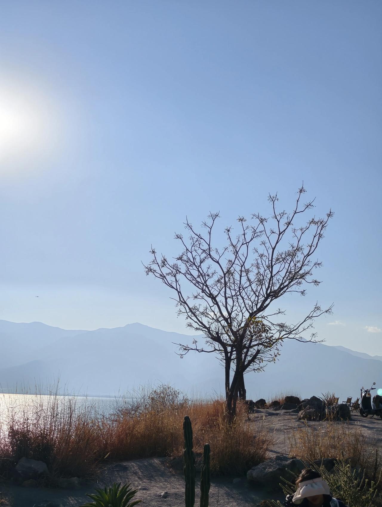 在两性关系中，如何快速判断一个人是否适合你？

其实很简单，你只需要：对他好！故