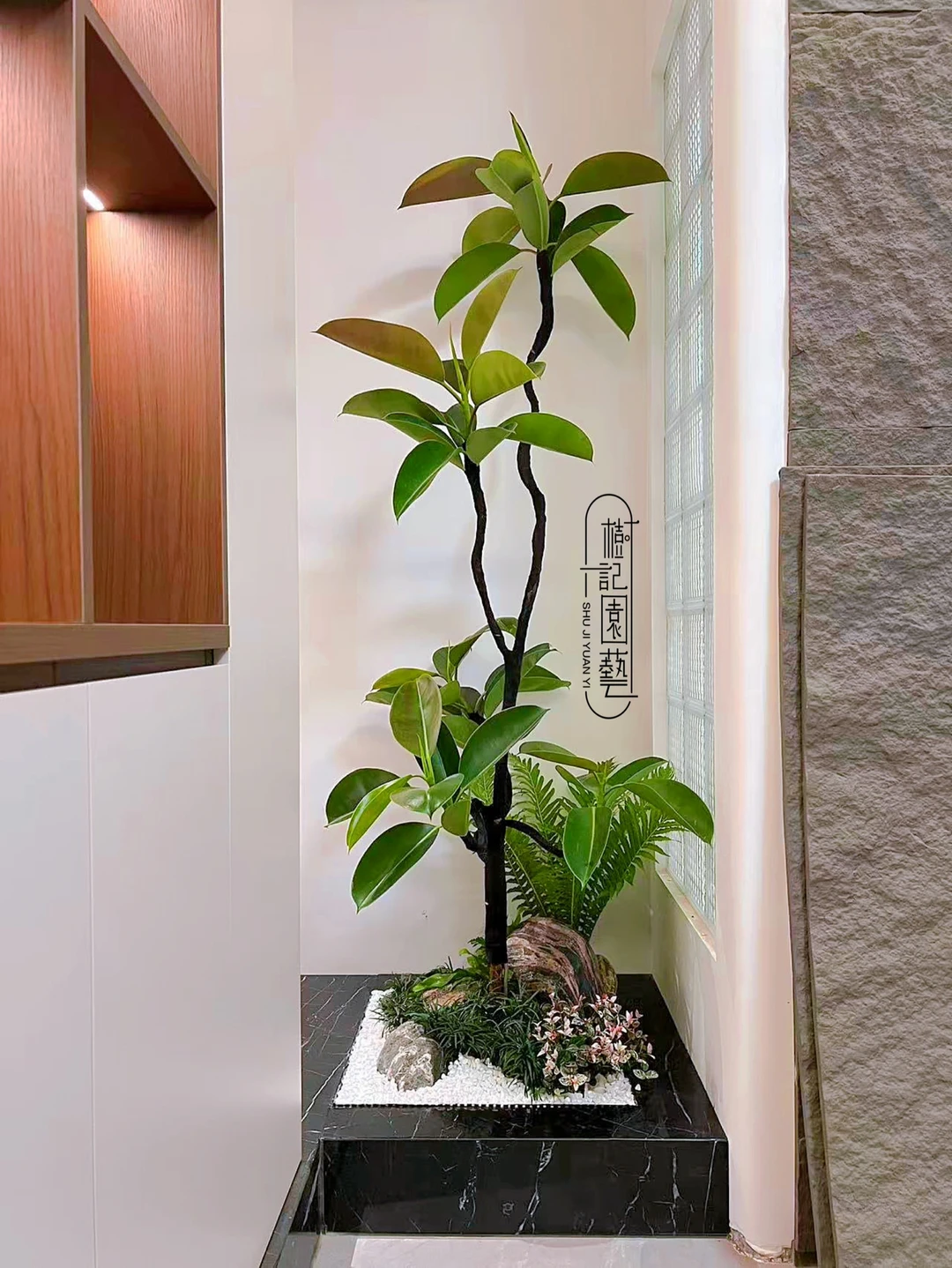用鲜活绿植，点亮全屋格调