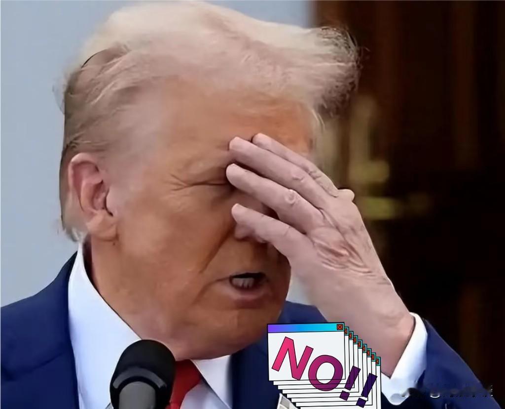 这下真解气
你做初一，我做十五！

刚看到反制清单，那10家还在给对岸递刀子的美