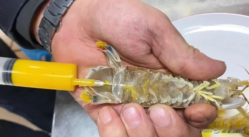 烧烤店把皮皮虾打上蛋黄一烤非常的好吃
选用鲜活的虾爬子清洗干净，鸡蛋只要蛋黄，把