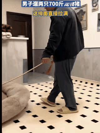 大哥每次逛街都是排面拉面～😂