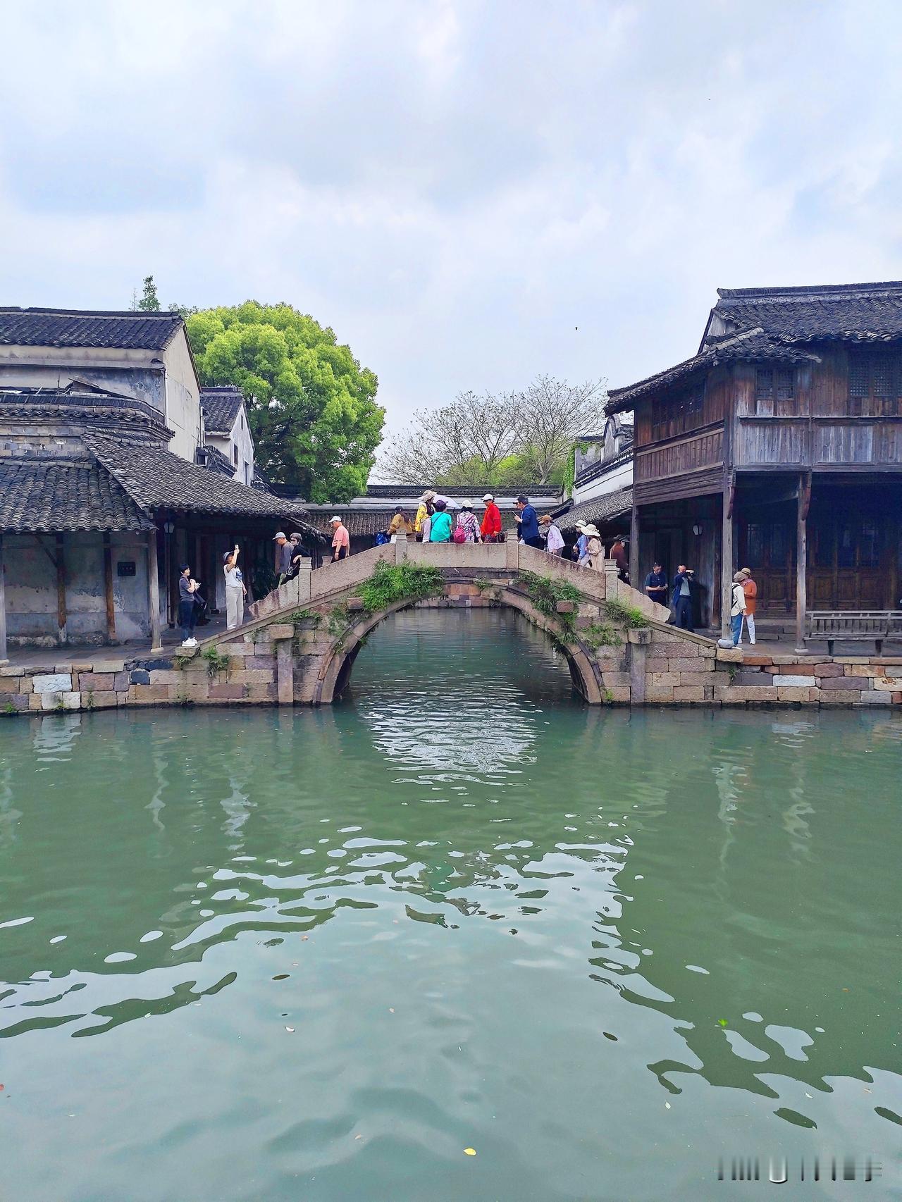 随拍乌镇东栅景区。
江南水乡乌镇分为两个景区，即西栅乌镇和东栅乌镇。东栅较西栅规