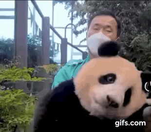 福宝与姜宝，小时候不想下班，长大了，怎么还没下班。

我们，小时候我想长大，长大