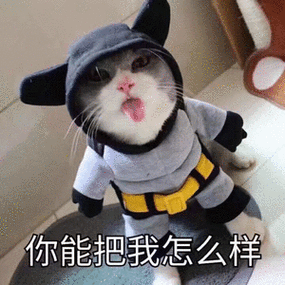西魏断狱无私的直臣，敢杖毙礼遇最隆的宗王外甥！

534年，北魏孝武帝元修不满高