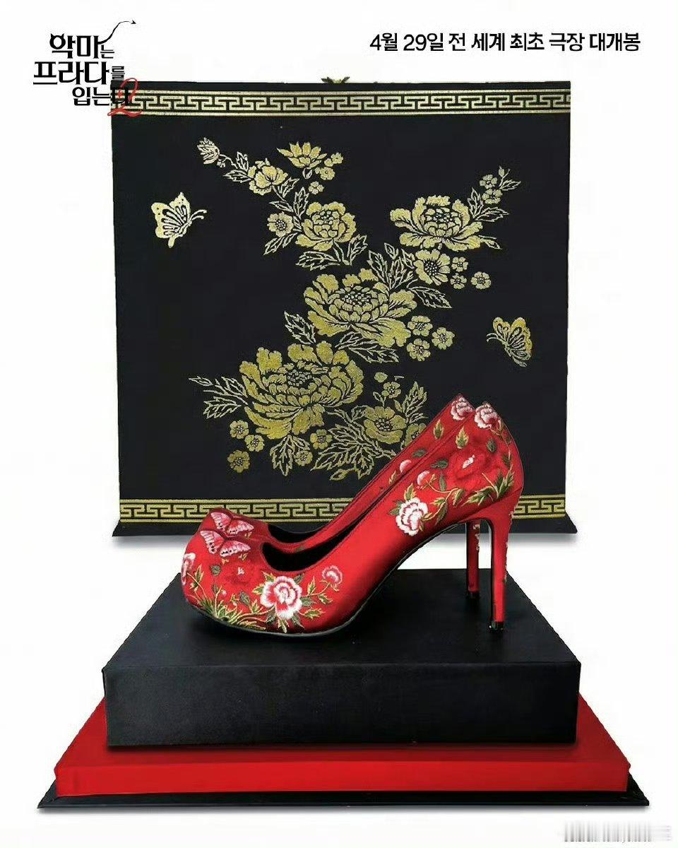 安妮海瑟薇在韩国收到绣花高跟鞋有句话我不知道当说不当说