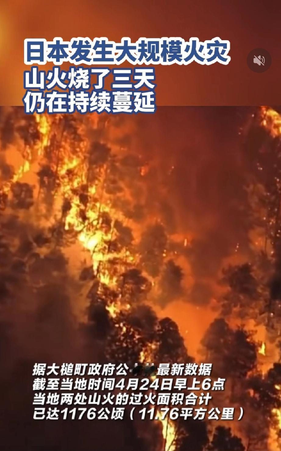 日本发生大规模火灾 山火烧了三天 仍在持续蔓延
 
这场山火从4月22日在日本岩