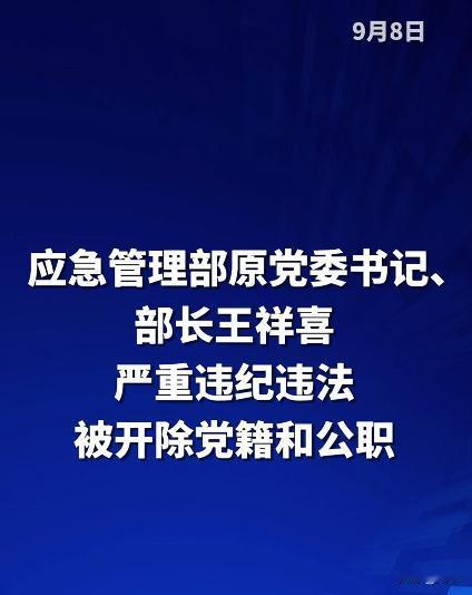 昨日，应急管理部原部长王祥喜被双开，这是2026年被查处大“大老虎”之一，现年6