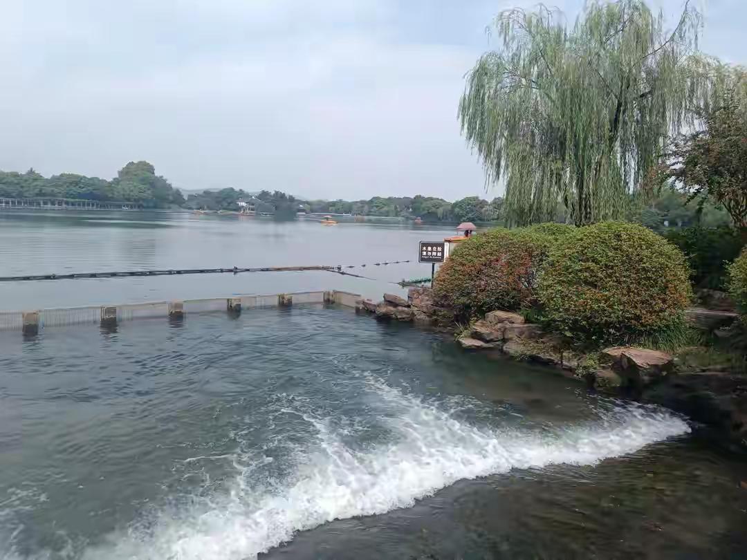 杭州西湖天下闻名，可你知道西湖是活水湖吗？杭州西湖的湖水清澈见底，一个月就可以将
