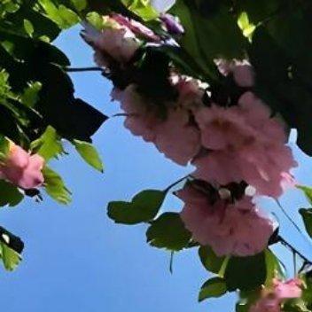 使人成熟的是经历而不是岁月。小时候觉得酒很苦，不明白为什么大人那么喜欢喝。长大后