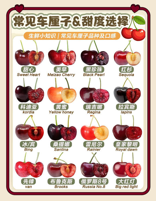 【🍒车厘子品种图鉴｜甜度天花板&避坑指南