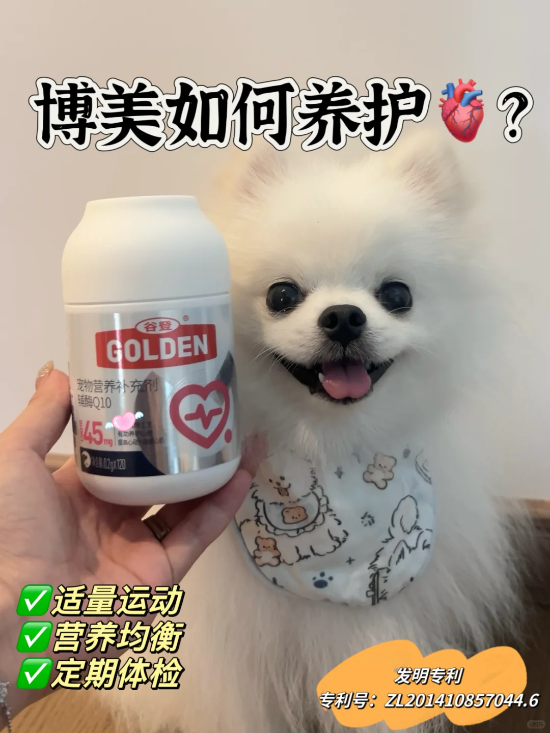 小型犬的心脏养护！养护真的要趁早
