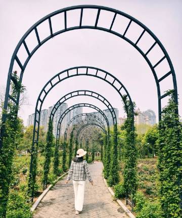 【退休后，要优雅转身】 <br /><br />        当看到...