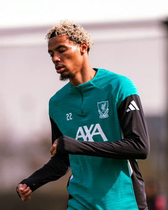 利物浦官方消息：埃基蒂克重伤赛季报销，世界杯彻底无缘利物浦官宣，埃基蒂克经诊断为