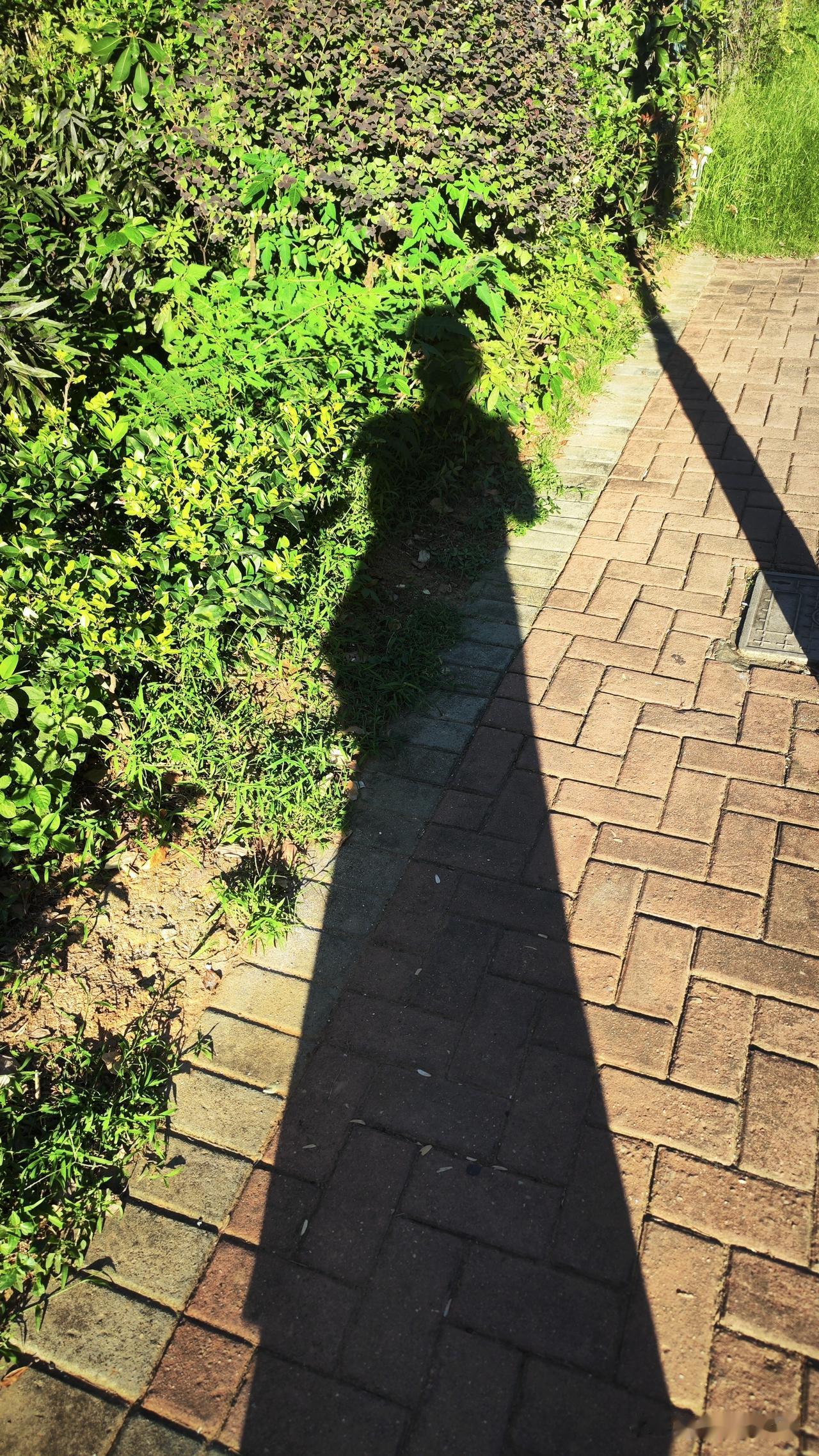 上联：年年顺顺利利
下联：岁岁平平安安
上联：年年顺顺利利
下联：日日团团圆圆