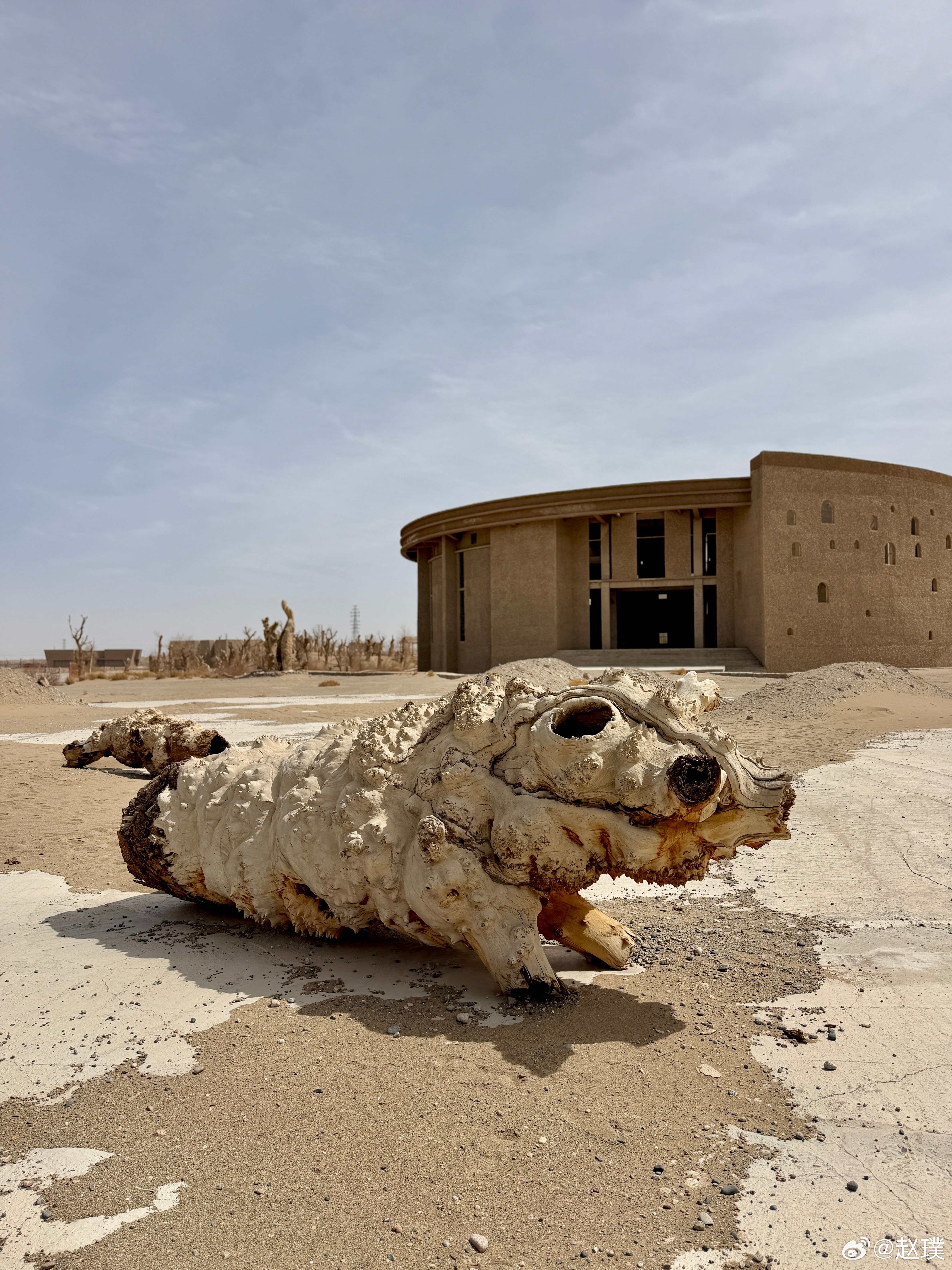 图1像什么？ 酒泉