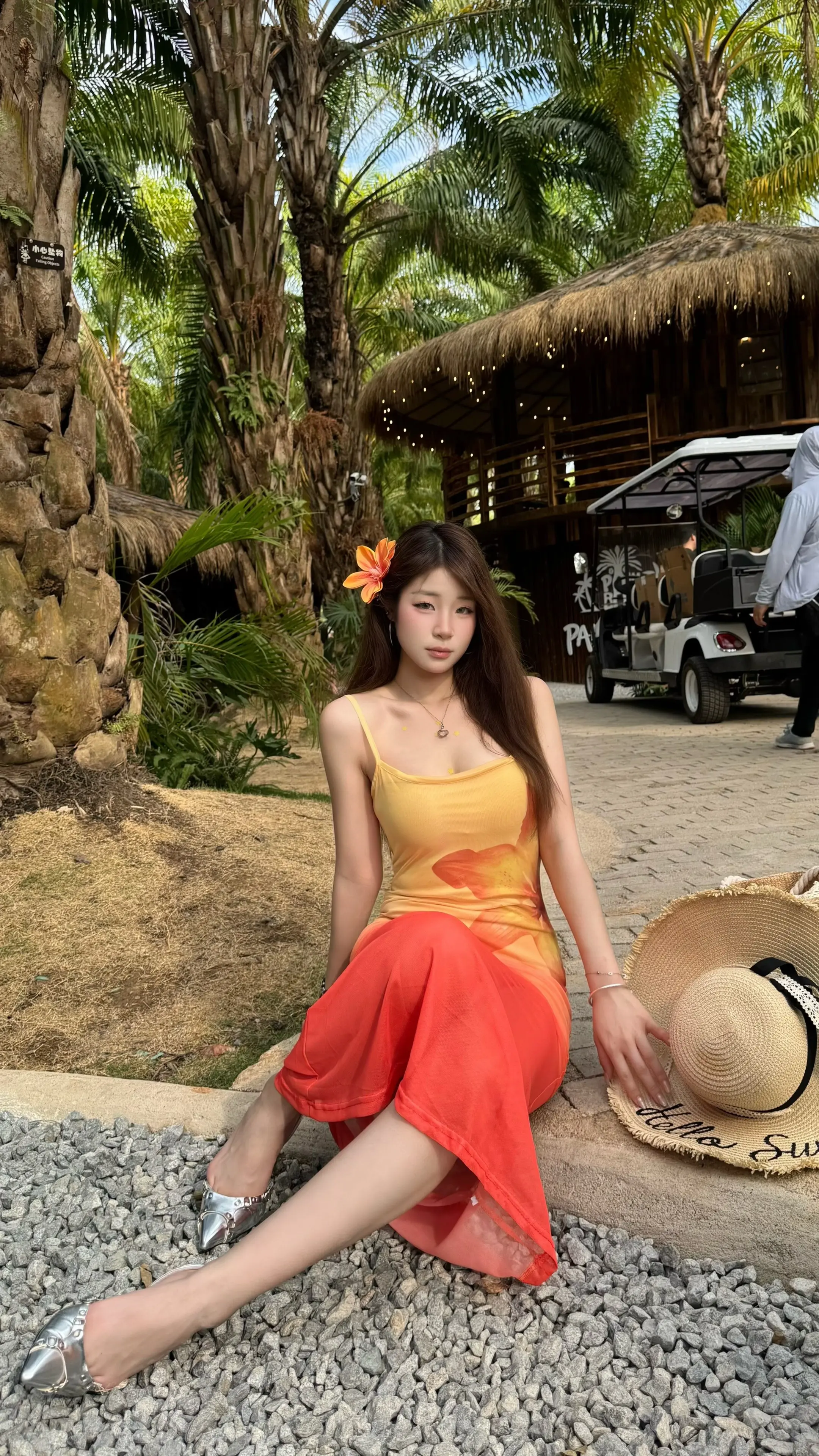 植物也需要很多的晴天和阳光