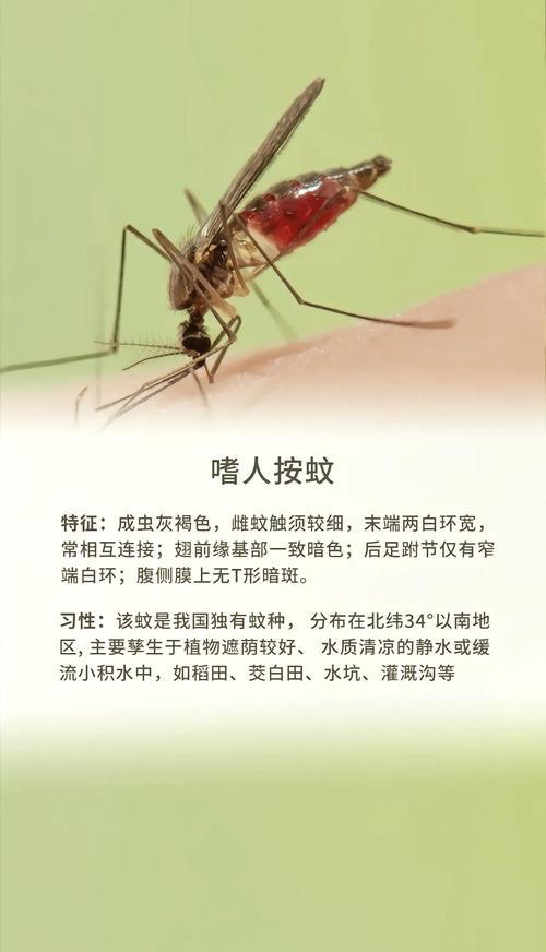 蚊子是如何精确找到人类的呢?🤖蚊子找你，不靠眼睛、不靠颜值，全靠3个“人体信号