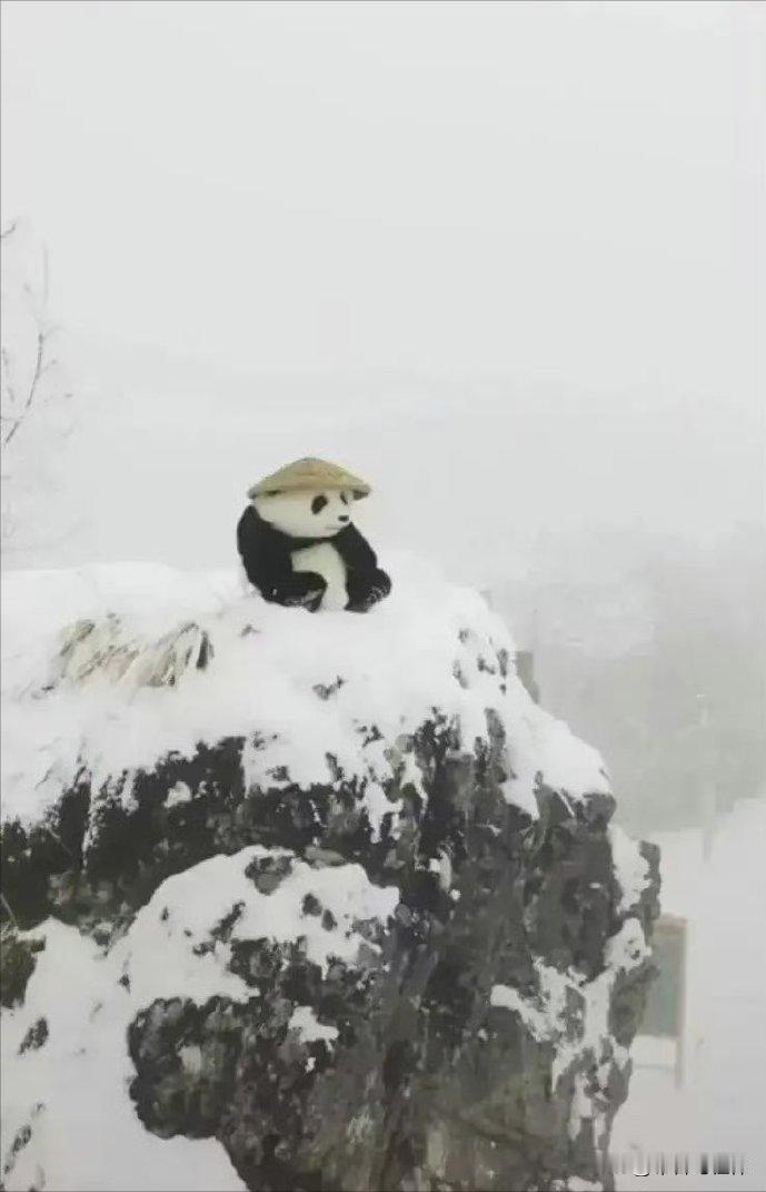 山  雪

世界列强纷纷闹，独坐山巅看雪飘。
 
我本无心烟火事，奈何人间邪作妖