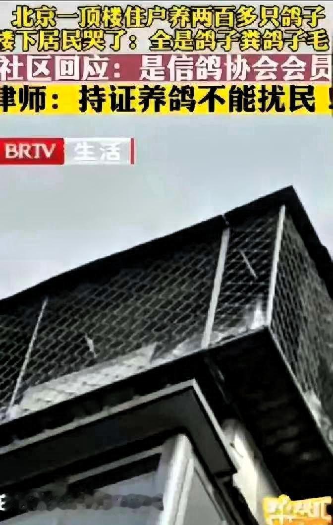 “太缺德了。”北京一男子花235万元买套房子，原本是想给五岁的女儿一个舒适安稳的