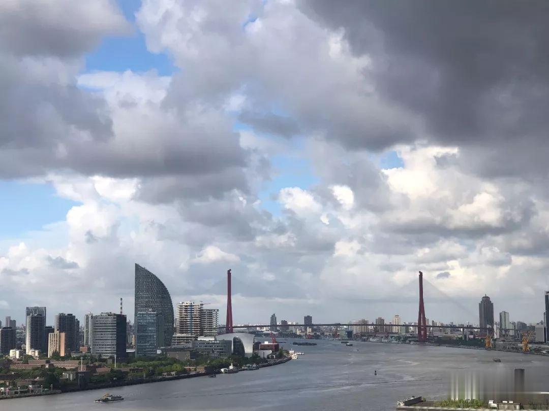 魔都房房房|九庐三期开始电梯内做广告了，入市还会远吗？