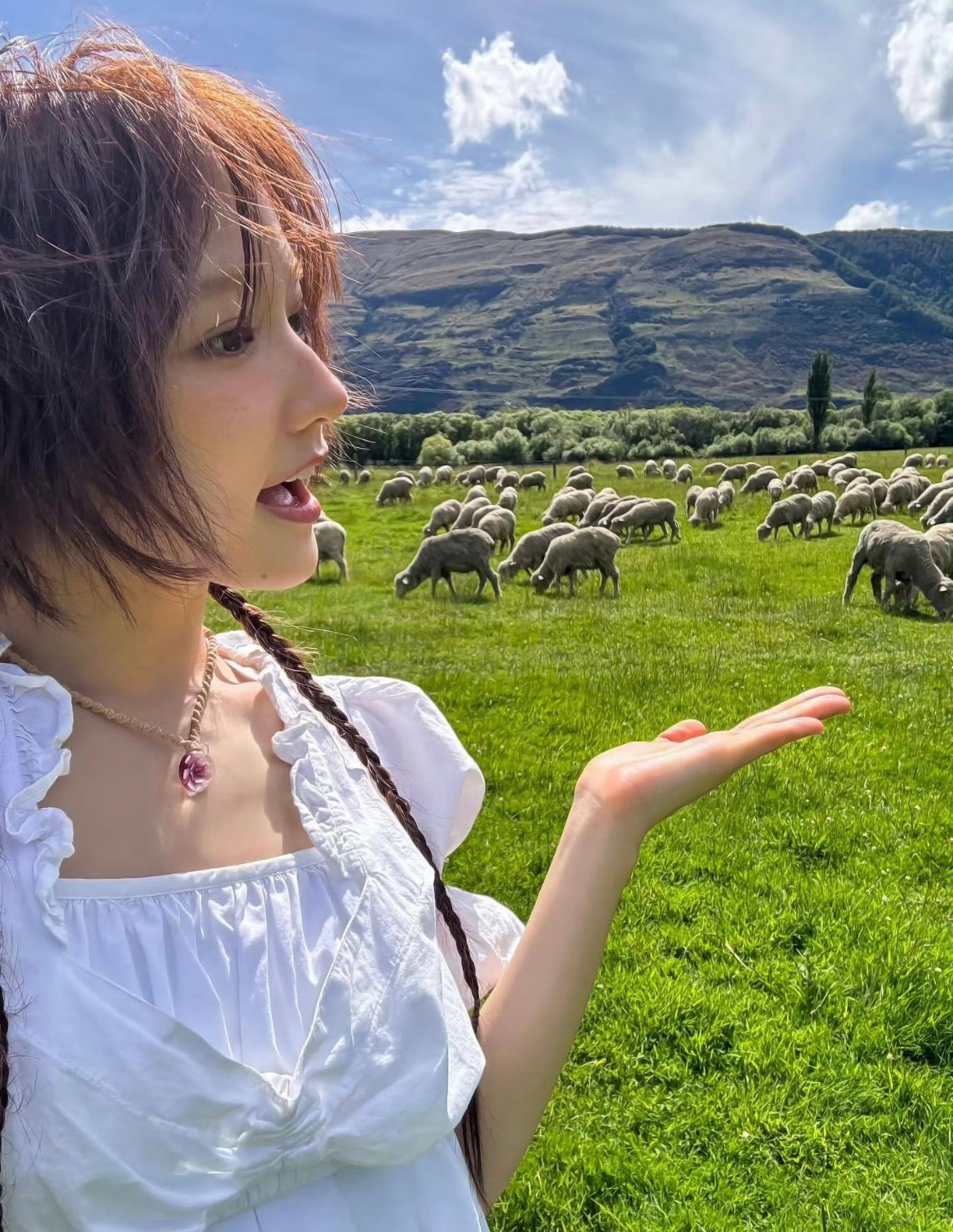 农场里的小鹿🦌🌼 