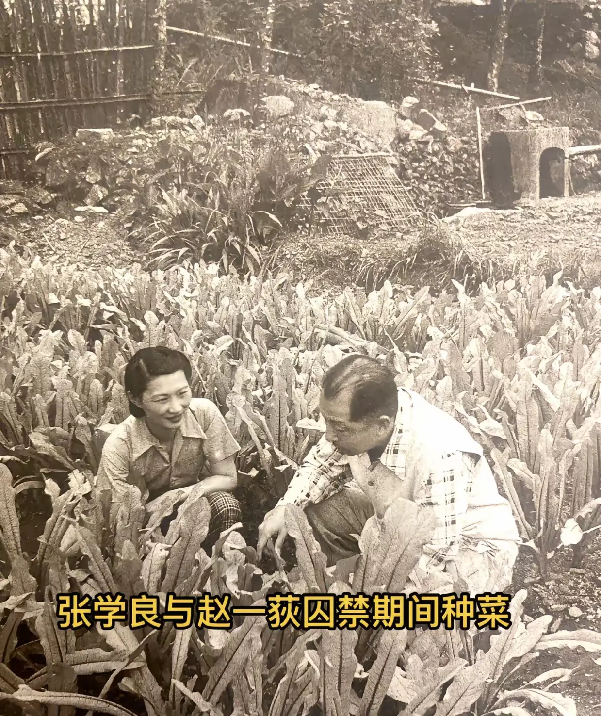 赵一荻一直陪着张学良将军，陪伴才是最好的表白方式吧。