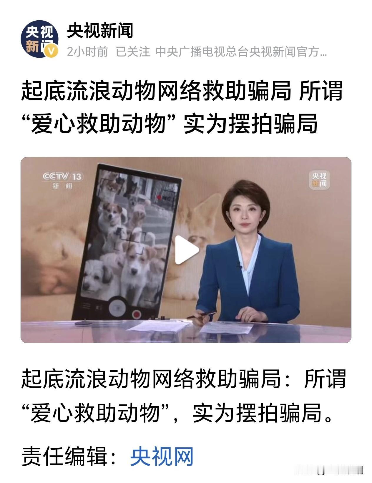 央视新闻：起底流浪动物网络救助骗局 所谓“爱心救助动物” 实为摆拍骗局

现在的