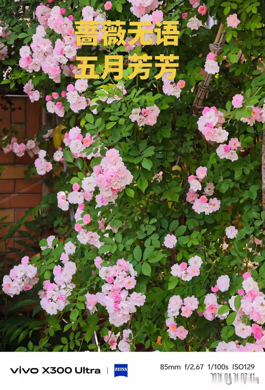 手机摄影