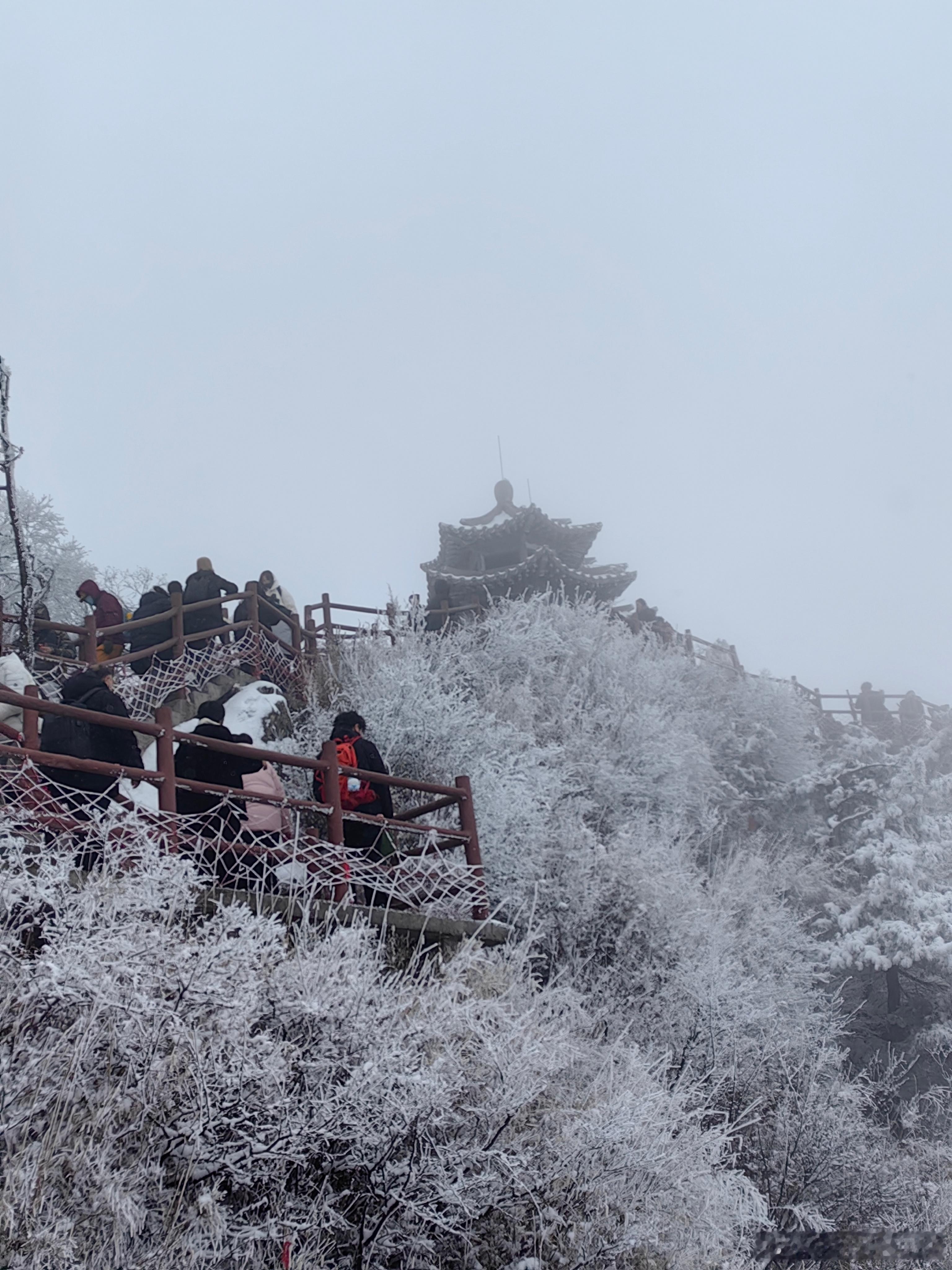 老君山的雪景，真不错 