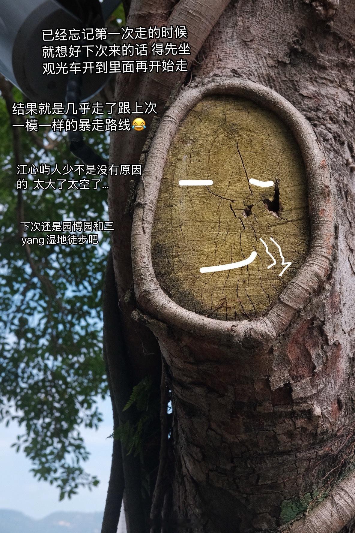 本来想说温州正式进入凉爽秋天了一看还有几天30度昨日徒步江心屿 今日闲逛世纪公园