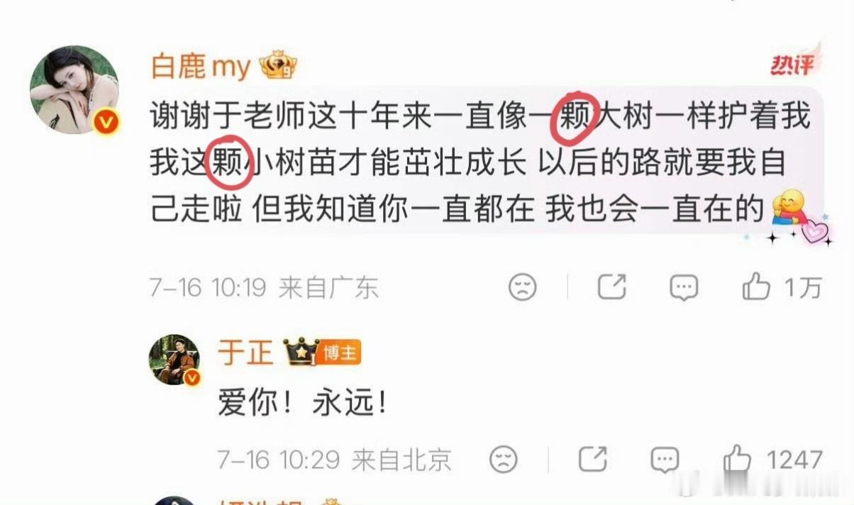 于正回应白鹿到期不续噗噗噗噗噗噗噗噗。 