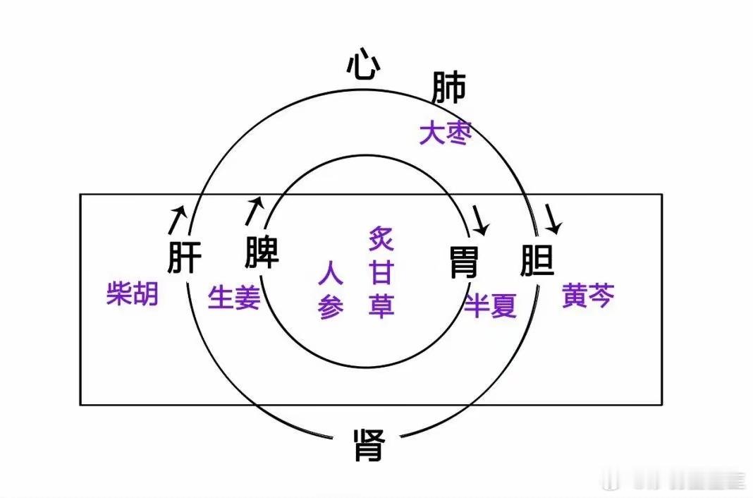 从玄学的角度来看人为什么会近视要知道，我们中医常讲五行，即金、木、水、火、土，分