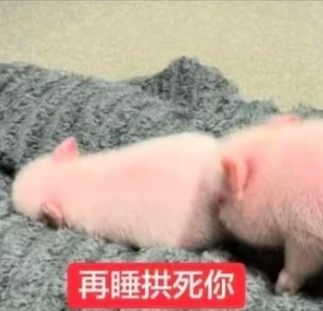 感觉周五的空气中有安眠药 