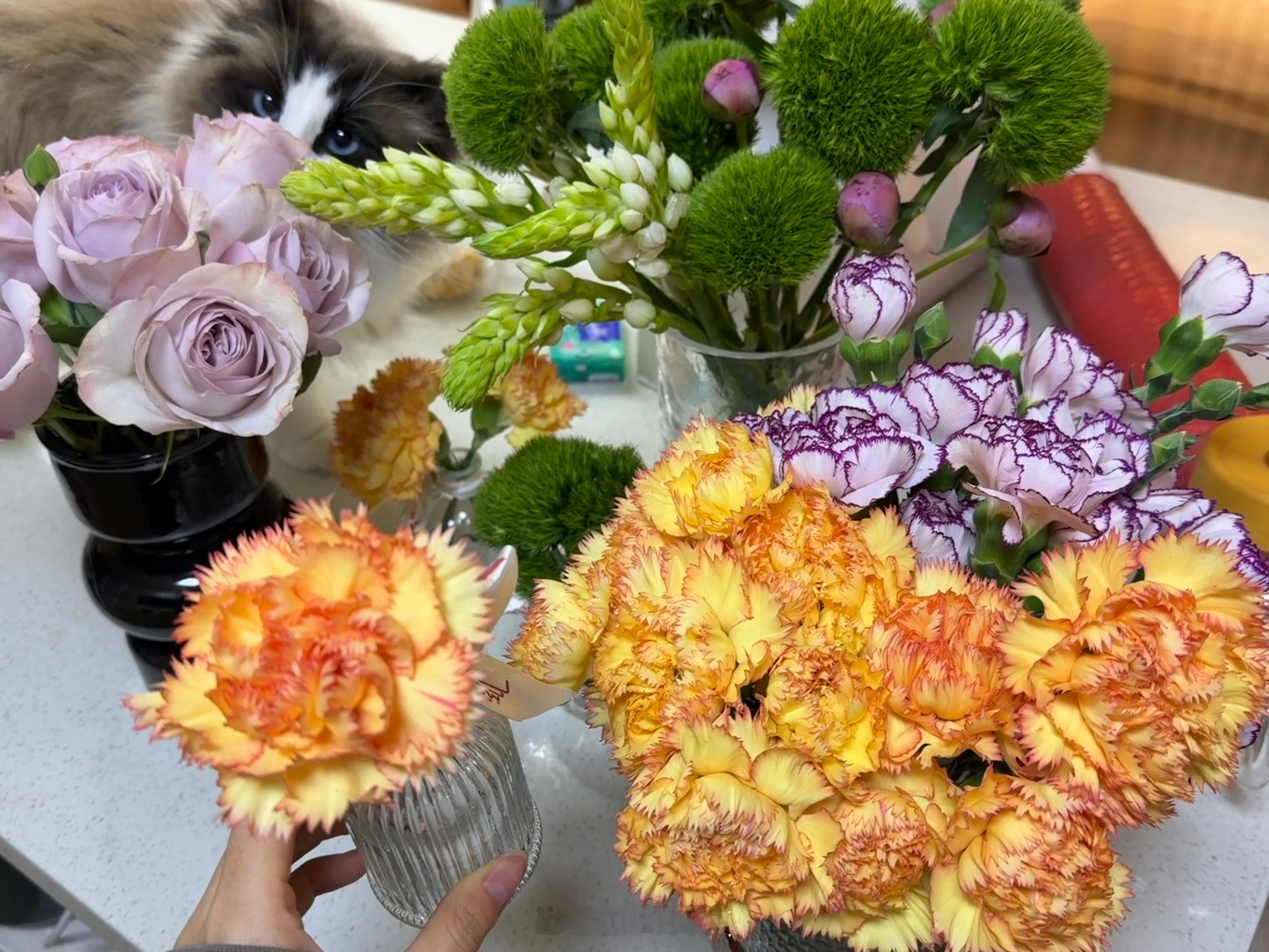 今日份夜间活动 进行一些花艺的大动作💐 