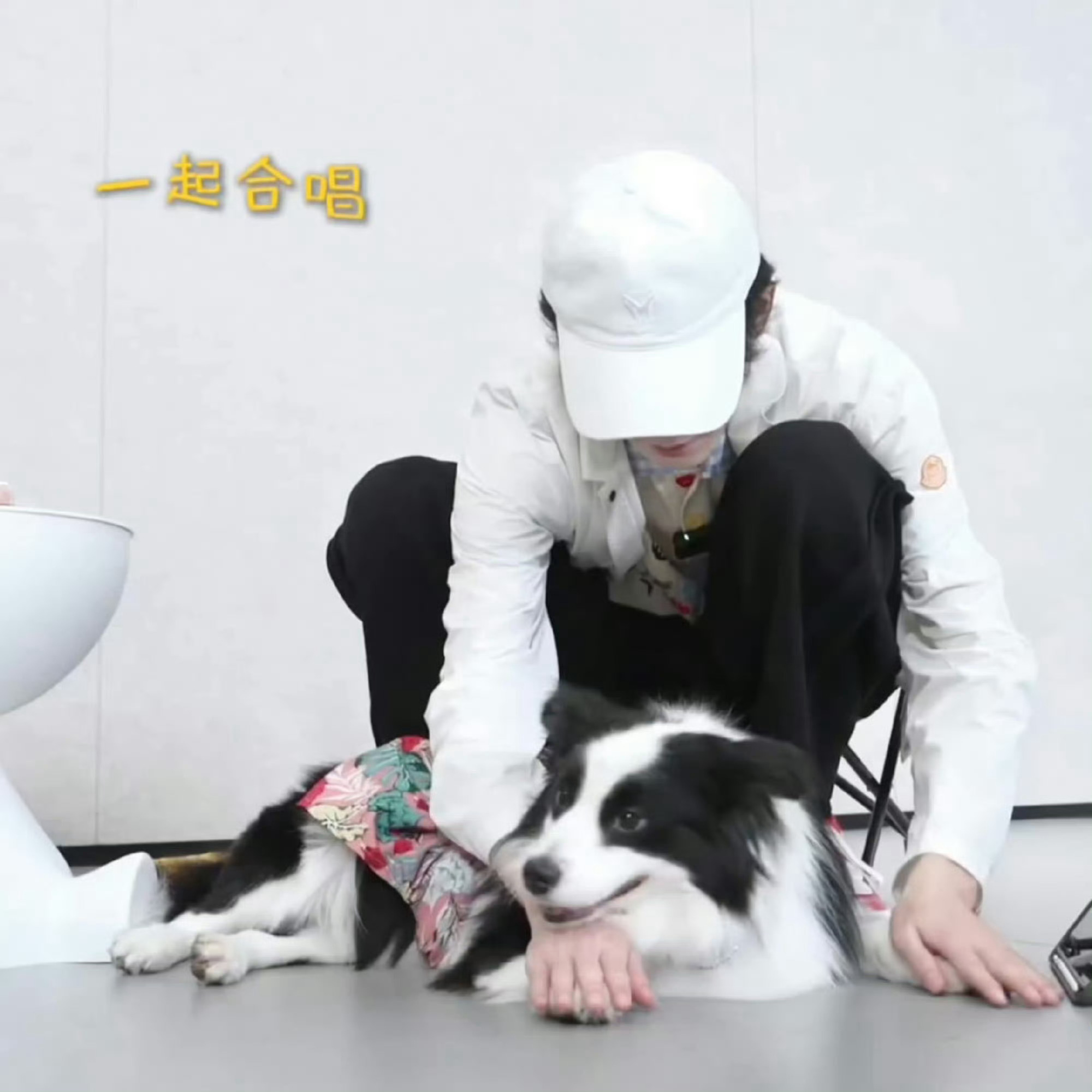 宋亚轩和鼠标玩海龟汤，我不知道你们俩要多萌～好可爱呀！！ ​​​