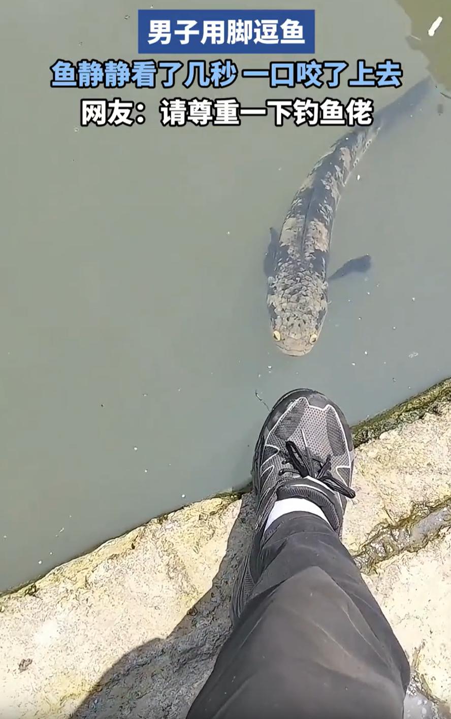 伤害性不高侮辱性极强！男子在河边钓鱼，本来没有鱼上钩男子就比较郁闷，没想到一条黑